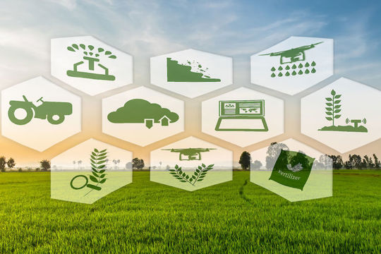 Phê duyệt Chương trình Khuyến nông giai đoạn 2026–2030 trên địa bàn tỉnh Hà Tĩnh