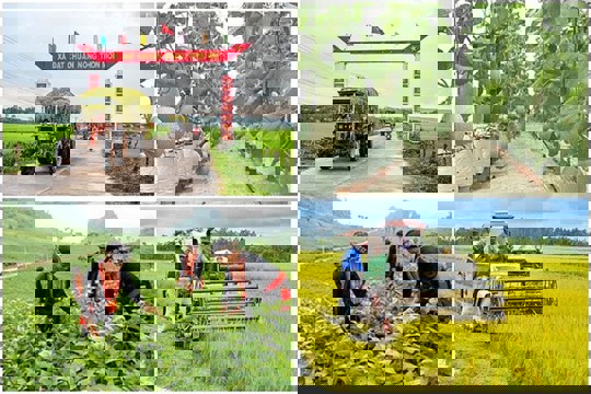 Xây dựng cơ sở dữ liệu và chế độ báo cáo trực tuyến trên Hệ thống giám sát, đánh giá các chương trình mục tiêu quốc gia