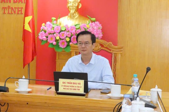 Phân công nhiệm vụ của đồng chí Trần Báu Hà - Phó Chủ tịch Ủy ban nhân dân tỉnh