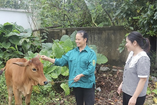 Đa dạng sinh kế giúp người dân Tứ Mỹ thêm cơ hội thoát nghèo bền vững