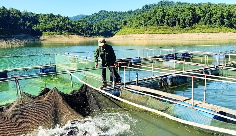 Tăng cường các biện pháp khắc phục, ổn định sản xuất, phòng chống dịch bệnh NTTS sau mưa bão trên địa bàn tỉnh